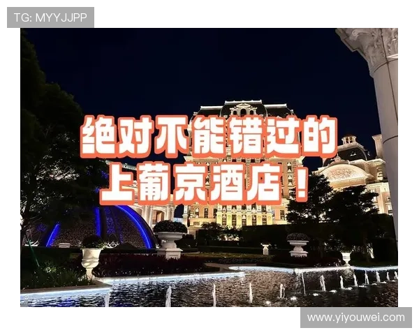 澳门上葡京今天的最新状况专家点评，未来发展前景与潜在风险