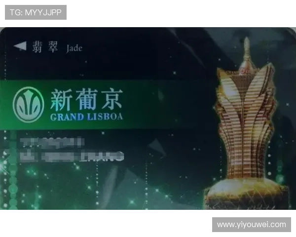 澳门新葡京网站入口官方登录页面安全可靠，提供多样化娱乐体验