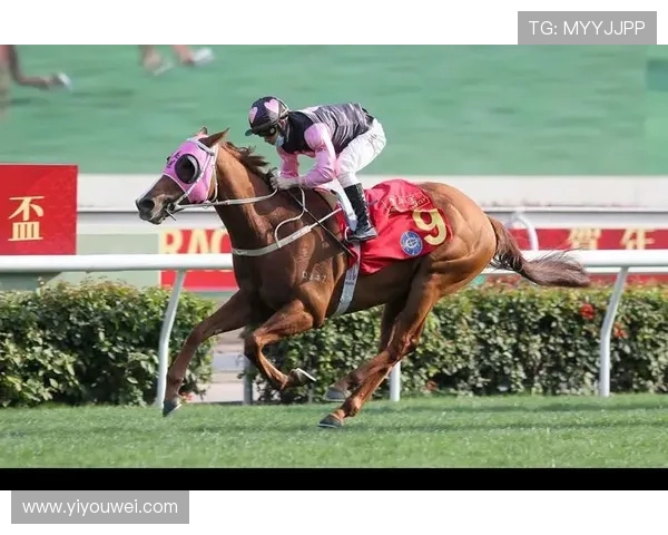 hkjc网娱乐：如何轻松注册登录香港赛马会在线娱乐平台享受丰富游戏体验